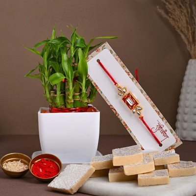 Rakhi Same Day Delivery