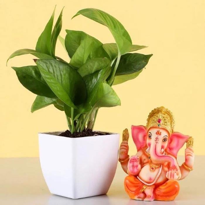 Blesssing Of  Ganesh Chaturthi