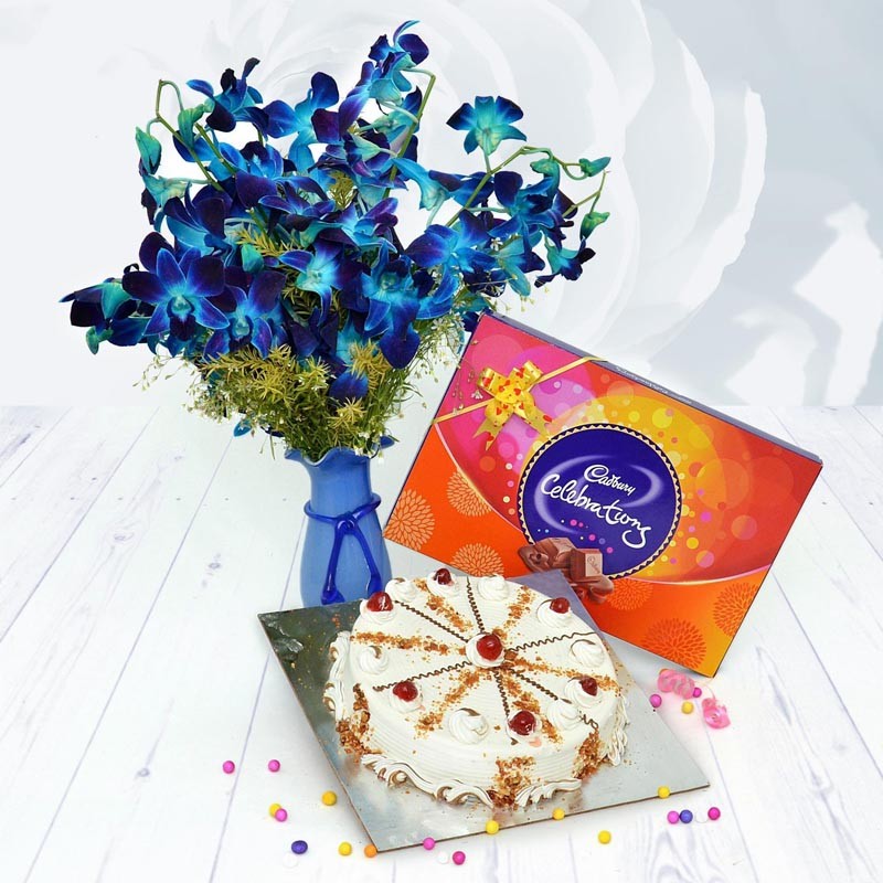 Celebration & Cake & Orchid 