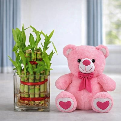 2 Layer Bamboo With Teddy
