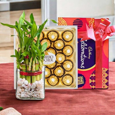 Lucky Bamboo Chocolate Hamper