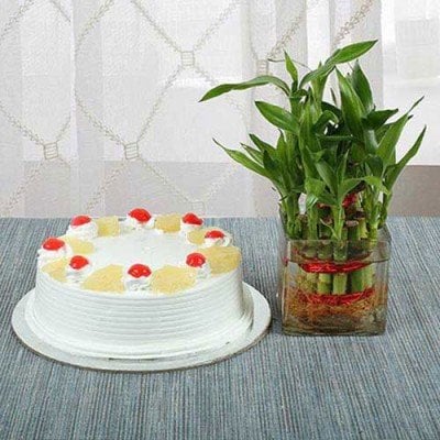 Pineapple Cake N Lucky Bamboo