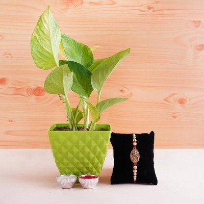 Rakhi With Plants