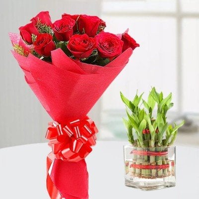 Lucky Bamboo Roses Emotion