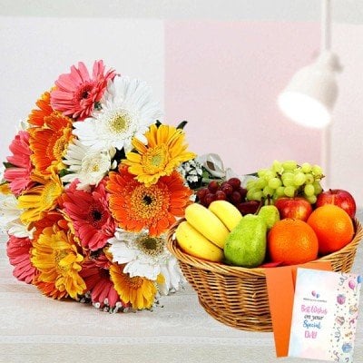 Mix Gerberas Fruity Combo