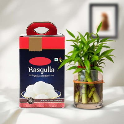 Lucky Bamboo with Rasgulla