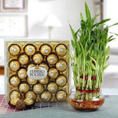 FERRERO ROCHER WITH THREE LAYER BAMBOO PLANT