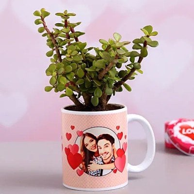 Jade Plant In Personalized Mug